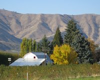 shed in fall