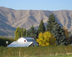 shed in fall