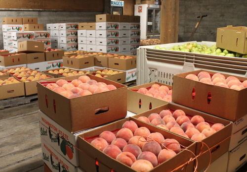 peach-box-2017.JPG